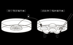 成都有没有靠谱的助孕公司