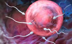 多囊卵巢综合症可以找助孕机构吗